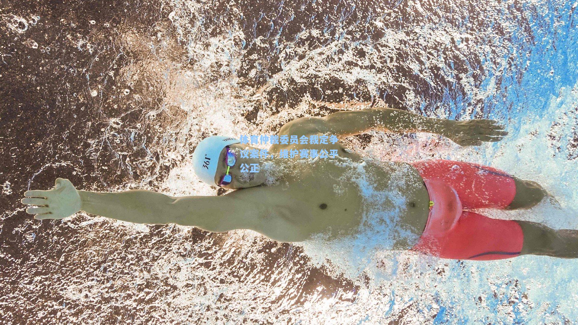 体育仲裁委员会裁定争议案件,维护赛事公平公正